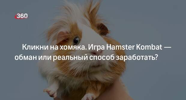 IT-разработчик Зыков: Hamster Kombat — обычный кликер, деньги вывести нельзя