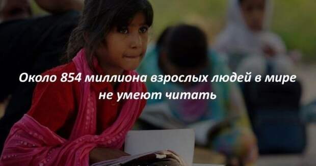Интересные факты