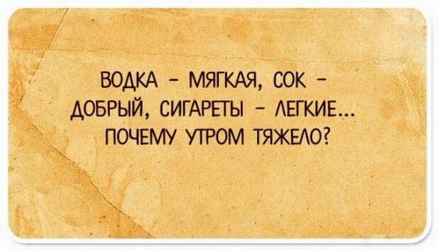 Забавные рассуждения о жизни