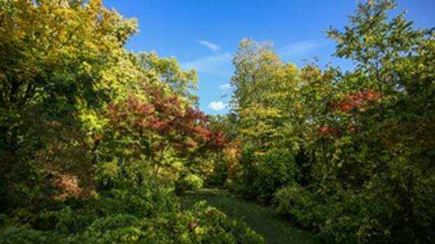 Барнаульский дендрарий / Фото: amic.ru