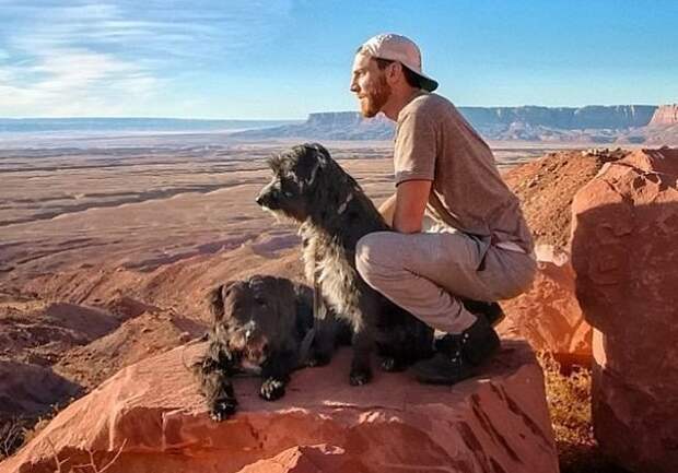 Путешественник спас двух бездомных щенков и объехал с ними всю Америку Счастливый конец, доброе сердце, по планете с собаками, путешественник, путешествие, собаки, спасенные животные, сша