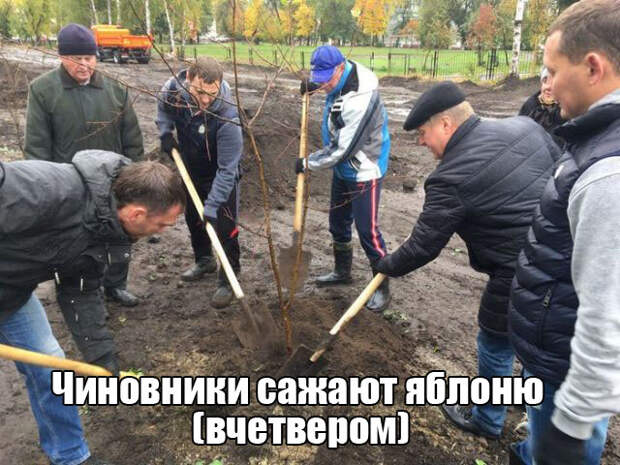 Подборка картинок. Дневной выпуск (50 фото)