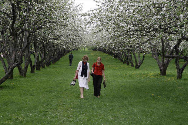 Лето наступит уже в мае: Климатолог Клименко предупредил о погодных "реалиях" в 2026 году