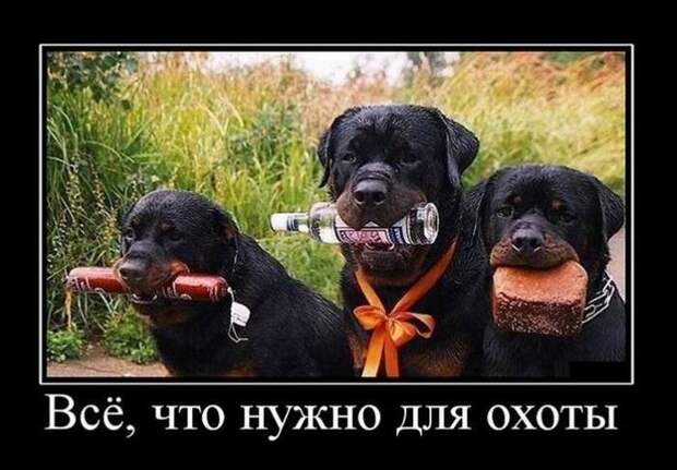 Веселые демотиваторы на утро вторника (11 фото) Веселые демотиваторы на утро вторника (11 фото)
