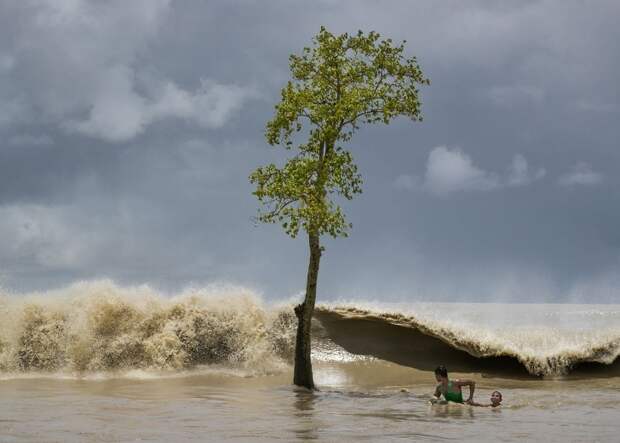 Лучшие фотографии от National Geographic в 2018 году