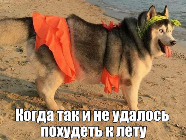 Позитивные фотографии и свежие картинки с надписями со смыслом (11 фото)