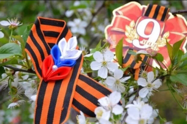 Житель Новосибирской области открыл военный подвиг отца спустя восемь десятилетий