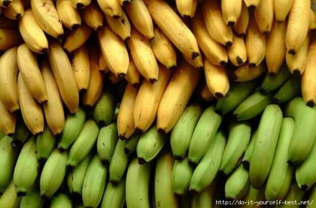 10 фактов которые вы не знали о бананах.