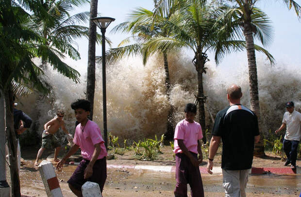Тайфун, ураган и цунами — чем они отличаются?
