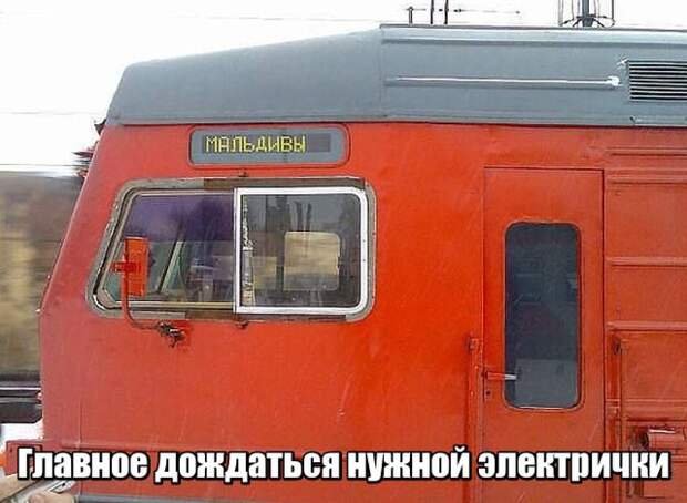 Подборка картинок. Вечерний выпуск (55 фото)