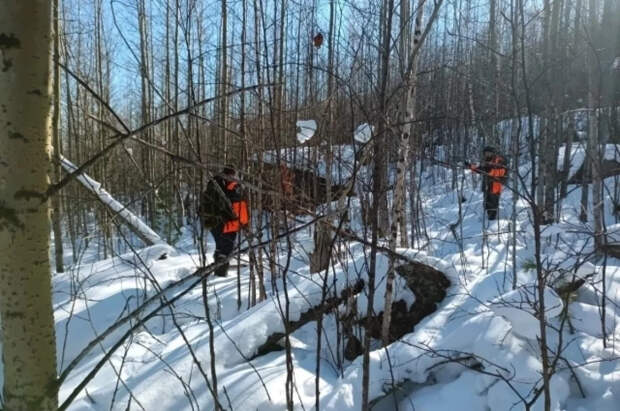 Повторные поиски Усольцевых после 3-месячного перерыва не дали результатов