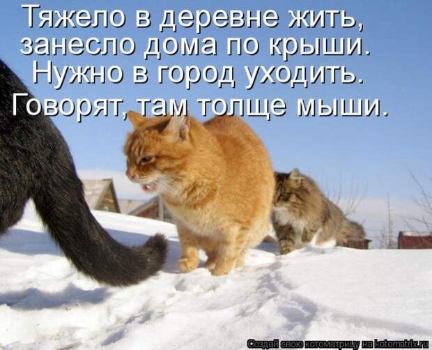 Мысли вслух :)