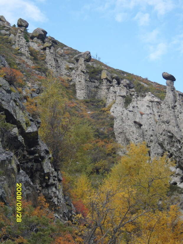 Возможности человеческого мозга: феномен Цеперовича.