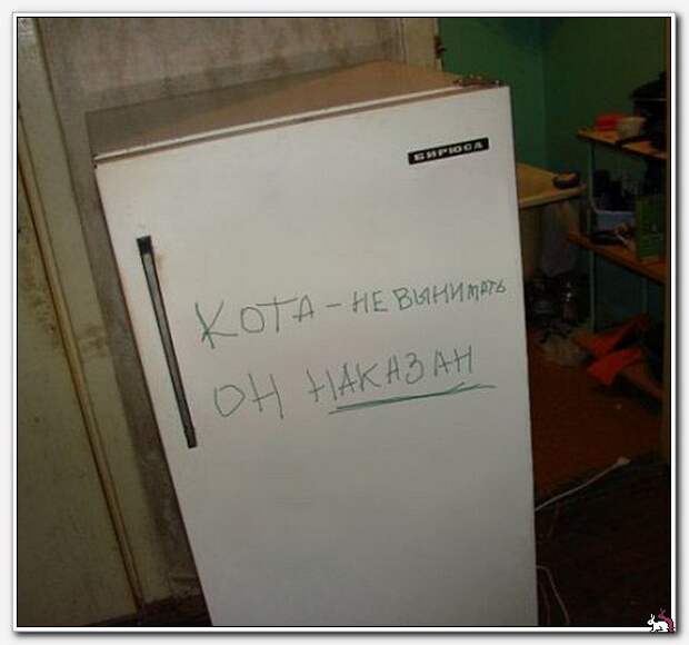 Соседи жалуются, что мы по ночам пылесос включаем. А это не пылесос, это жена со мной беседует! Соседи жалуются, что мы по ночам пылесос включаем. А это не пылесос, это жена со мной беседует!