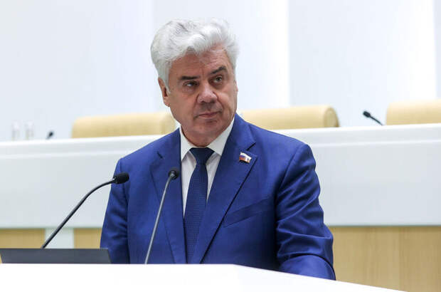 Сенатор Бондарев: Альтернативная служба решает проблему дефицита кадров