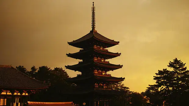 Изучая Азию: тест RT о востоковедении России