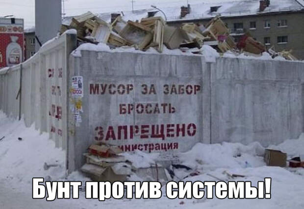 Прикольные картинки. Вечерний выпуск (63 фото)