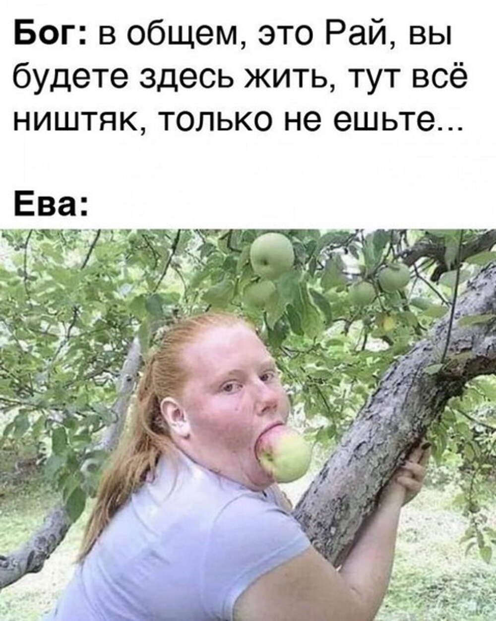 Ева и яблоко прикол