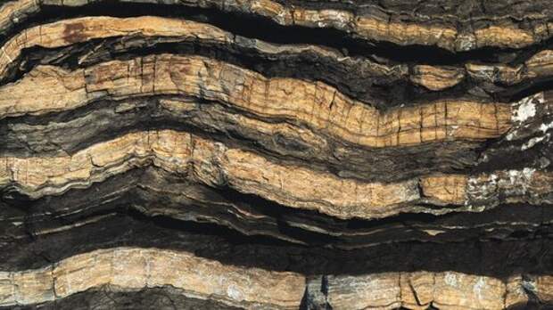 Как редкоземельный металл германий попал в буроугольное месторождение на Сахалине?