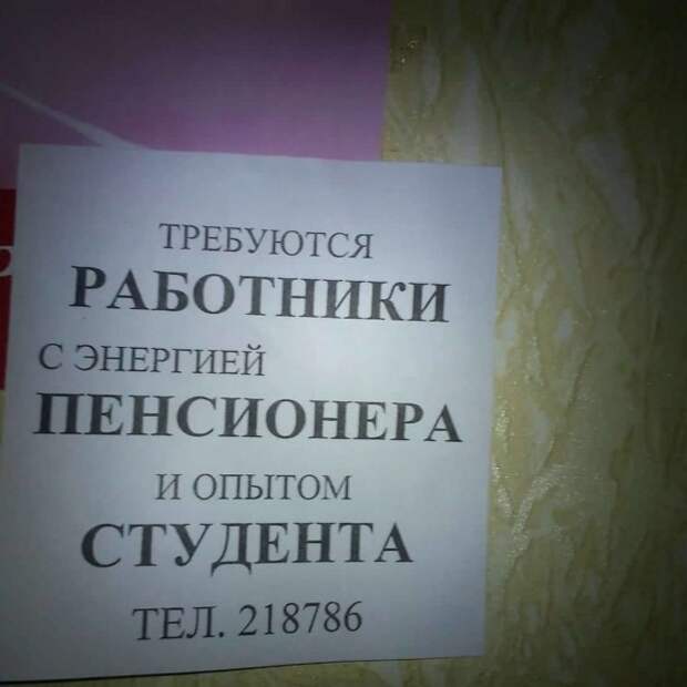 Странные и смешные объявления и вывески
