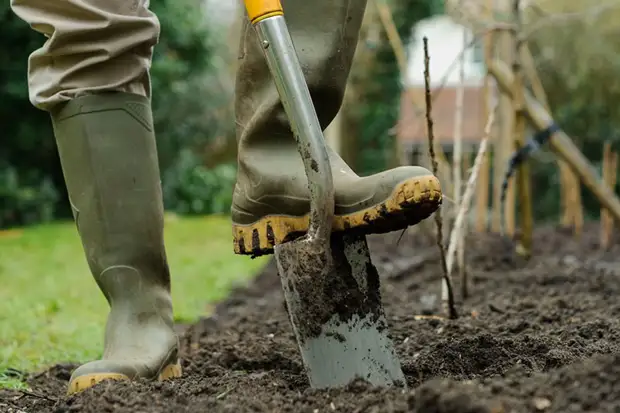 Применяем яичную скорлупу как удобрение для садовых, огородных и комнатных культур