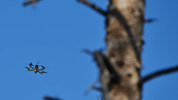 Расчеты БПЛА обеспечили прикрытие для штурмовиков. Лучшее видео из зоны СВО