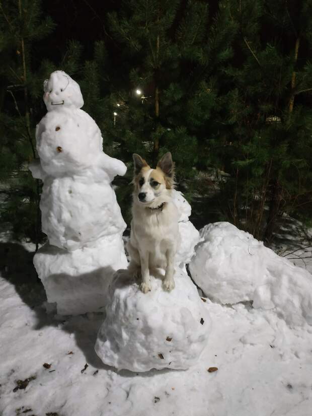 собака и снеговик