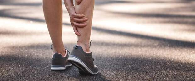 Бактерии кишечника помогают восстанавливать поврежденные мышцы и печень