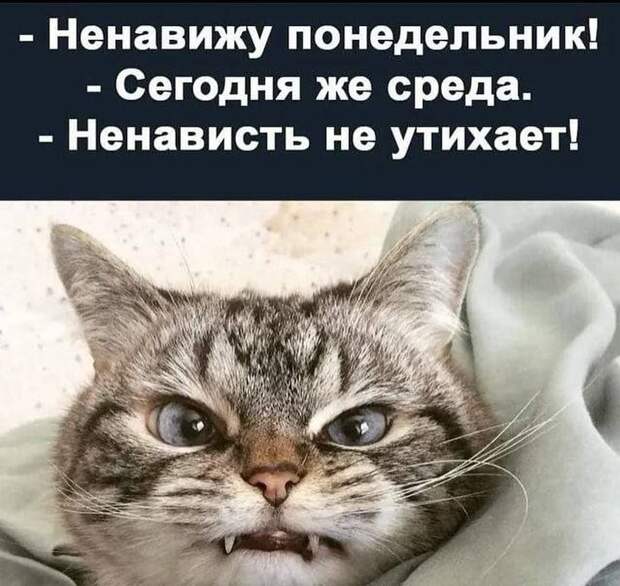 А вы знаете, почему при коммунистах было мало колбасы? Потому что эти придурки делали её из мяса