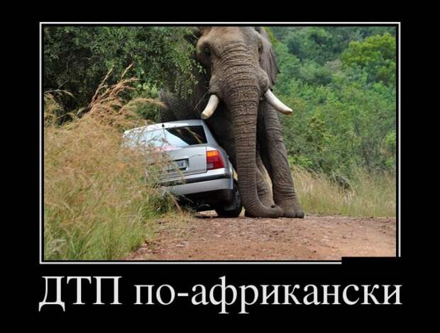 Демотиваторы №1363 (30 фото)