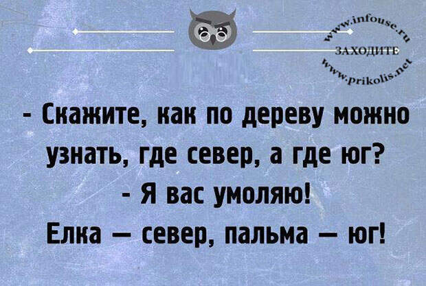 Прикольные цитаты и высказывания от Михалыча