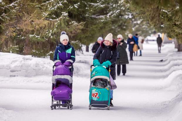 Путин назначил новые выплаты четырем матерям из Новосибирска