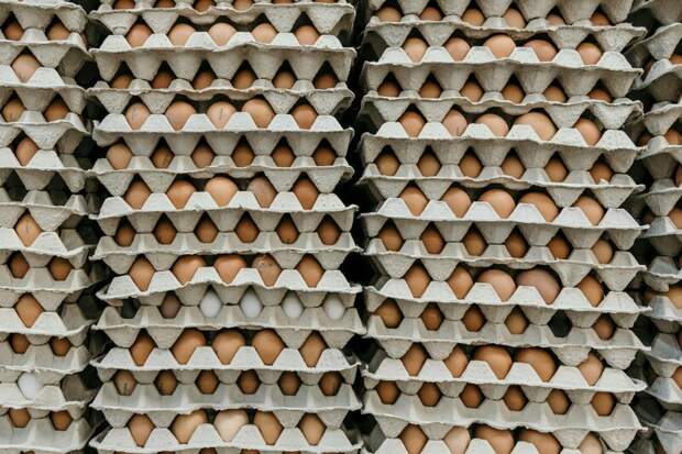 В Россию продолжают поступать съедобные яйца из Турции и Азербайджана