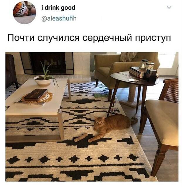 Прикольные и смешные картинки