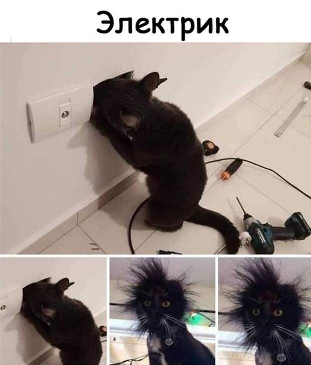 С миру по нитке...