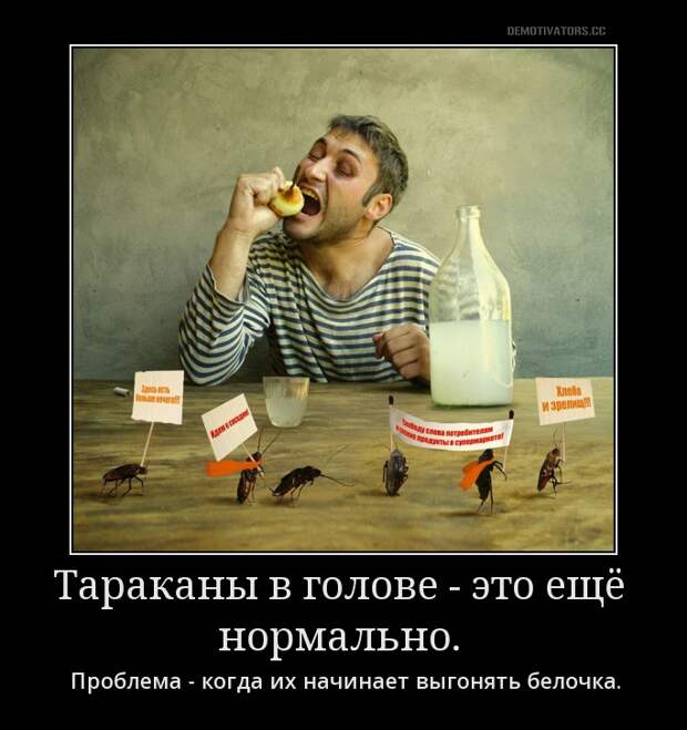 Забавные и прикольные демотиваторы для веселья