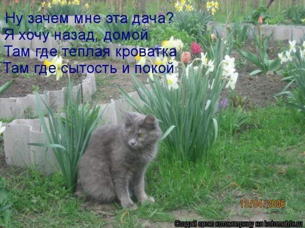 Мысли вслух :)