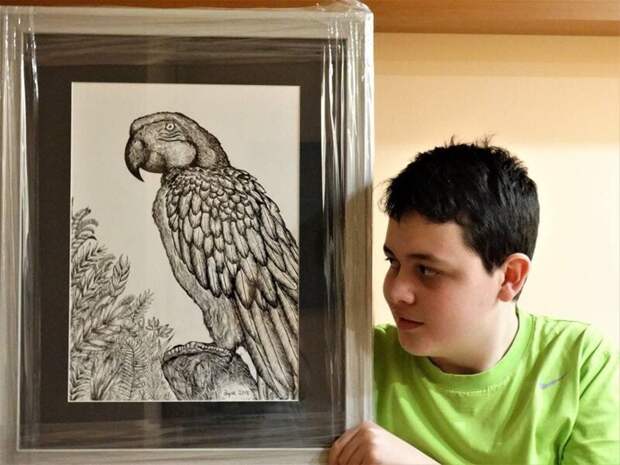 16-летний художник из Сербии рисует по памяти невероятно детализированные изображения животных Душан Кртолица, животные, искусство, рисунок, талант, художник