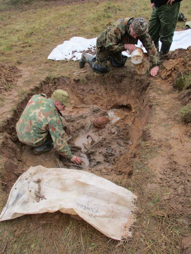 Под Андреаполем обнаружили останки 5 красноармейцев