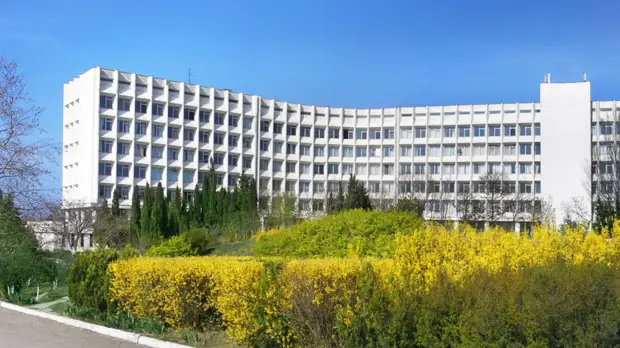 СевГУ стал победителем международной олимпиады в сфере IT