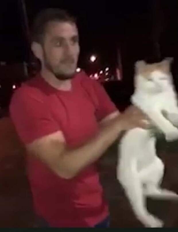 Мужчина держит кота Мужчина и кот