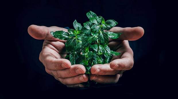 Экологический форум «Одна планета – одно будущее!» пройдет в Ханты-Мансийске