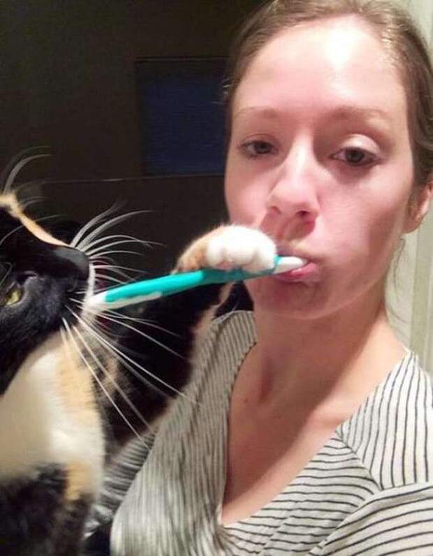 Коты, которые и не подозревают, что у вас есть личное пространство (15 фото) Коты, которые и не подозревают, что у вас есть личное пространство (15 фото)