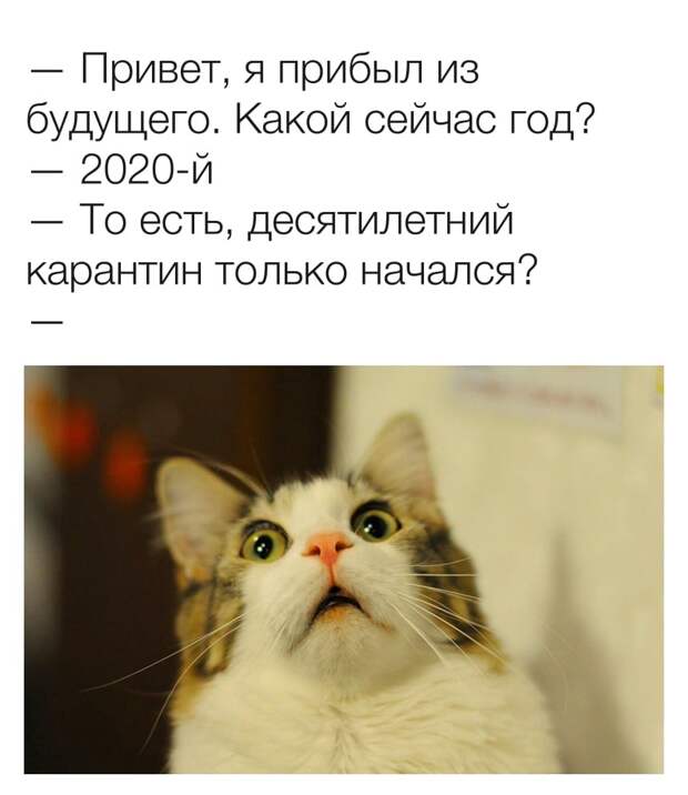 12 жизненных мемов про самоизоляцию