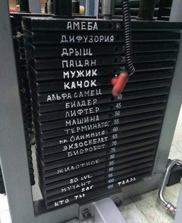 Смешные картинки с надписями прикол, юмор
