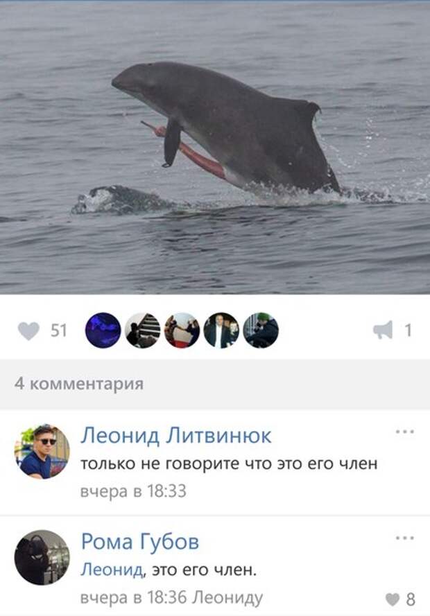 Приколы