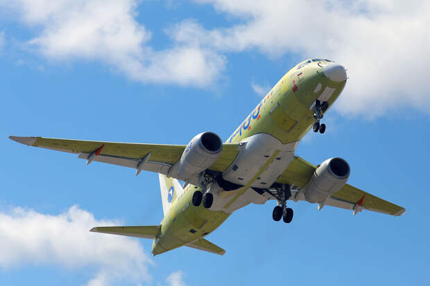 "Известия": двигатели импортозамещенного SJ-100 протестировали на птицах