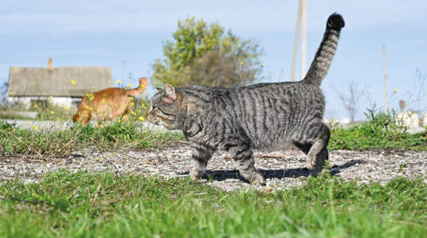 Погода 29 марта: ночью до +5