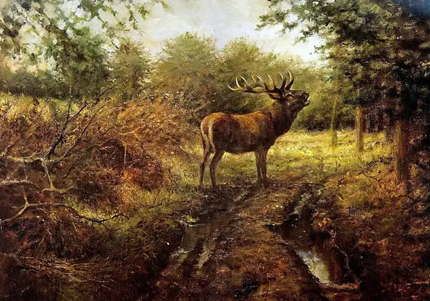 �������� ��� ���������.