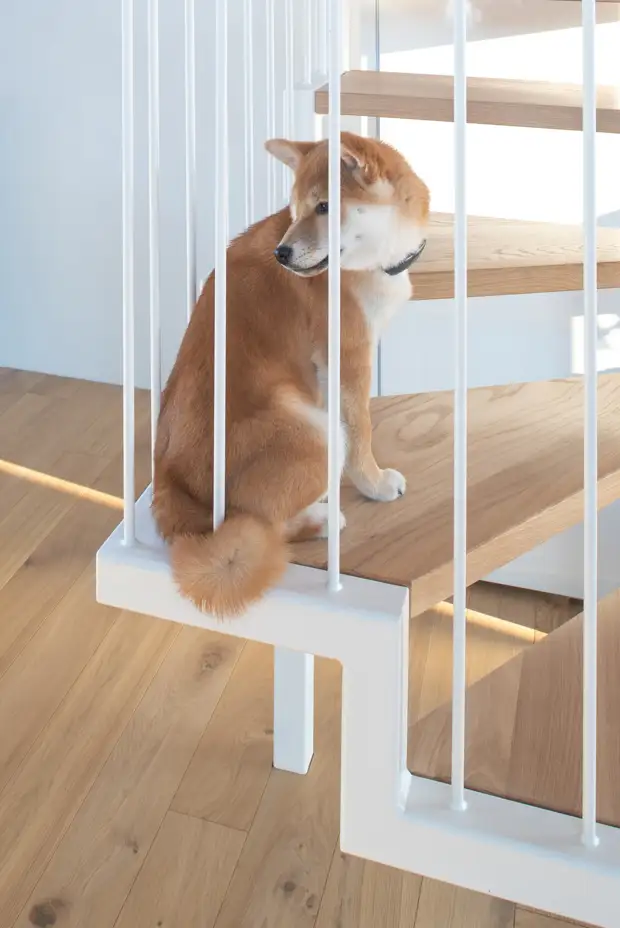 Загородный деревянный дом с террасами в Литве